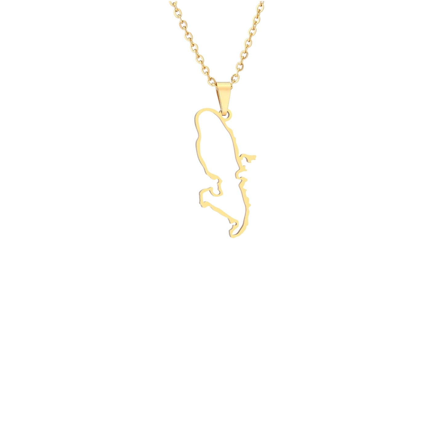 Martinique stainless steel map