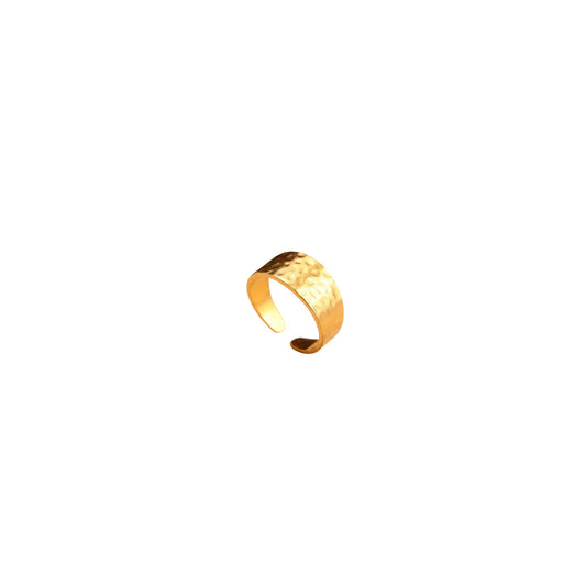 Bague Acier inoxydable