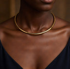 Collier torque rigide en acier inoxydable