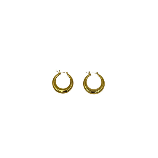 Boucle d'oreille en acier inoxydable