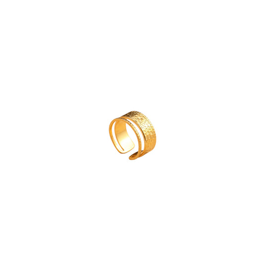 Bague Acier inoxydable