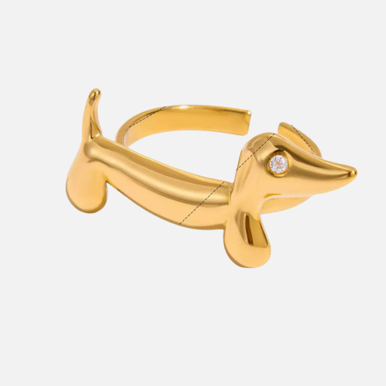 Bague chien teckel en acier inoxydable