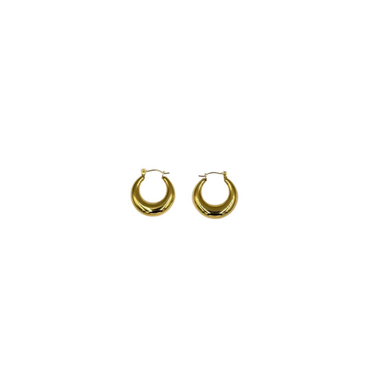 Boucle d'oreille en acier inoxydable