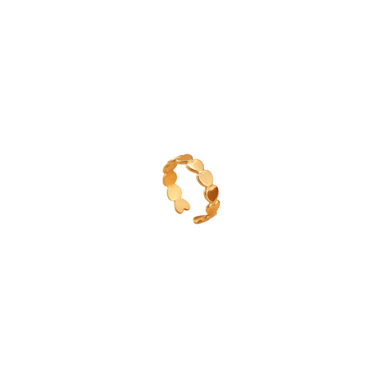 Bague Acier inoxydable