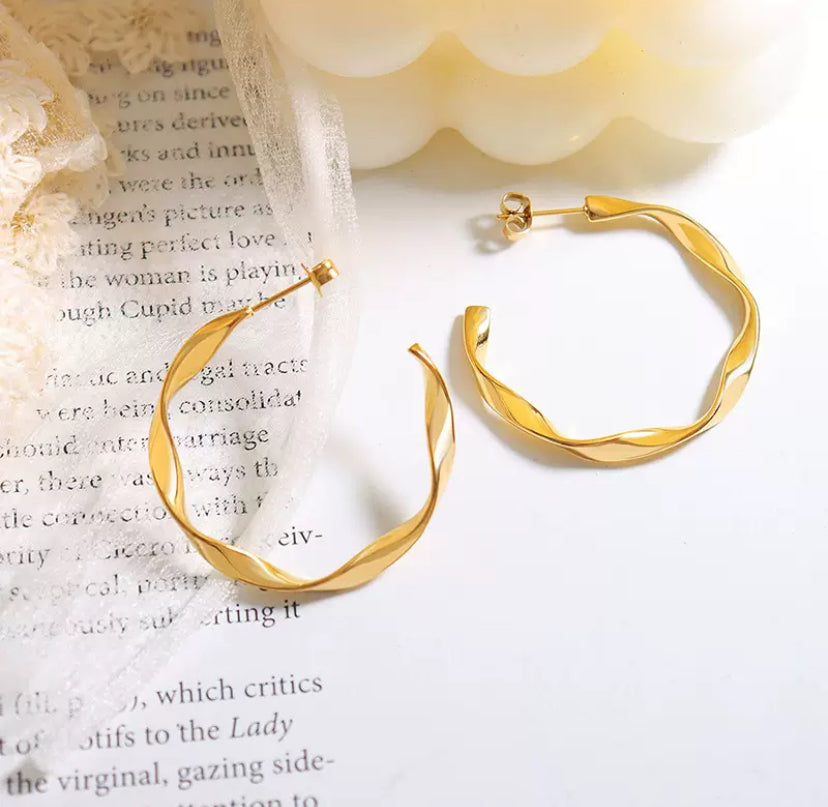 Créoles torsadées en acier inoxydable