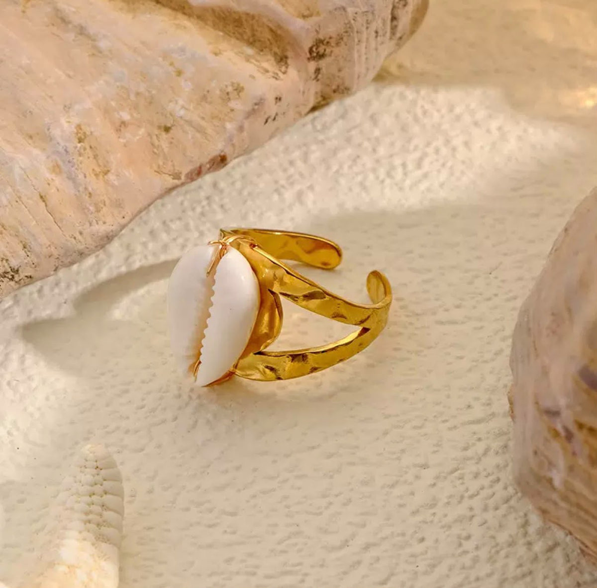 Bague coquillage cauri en acier inoxydable