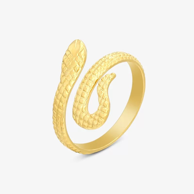Ring Stainless steel