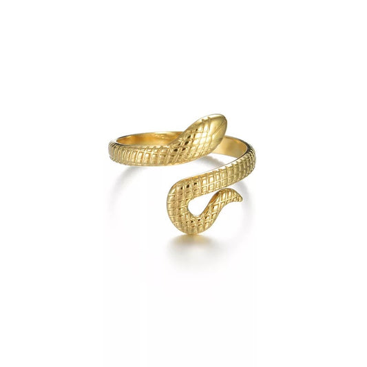 Ring Stainless steel