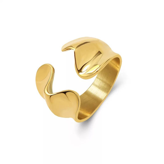 Ring Stainless steel
