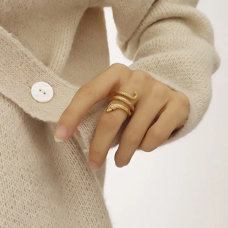 Ring Stainless steel