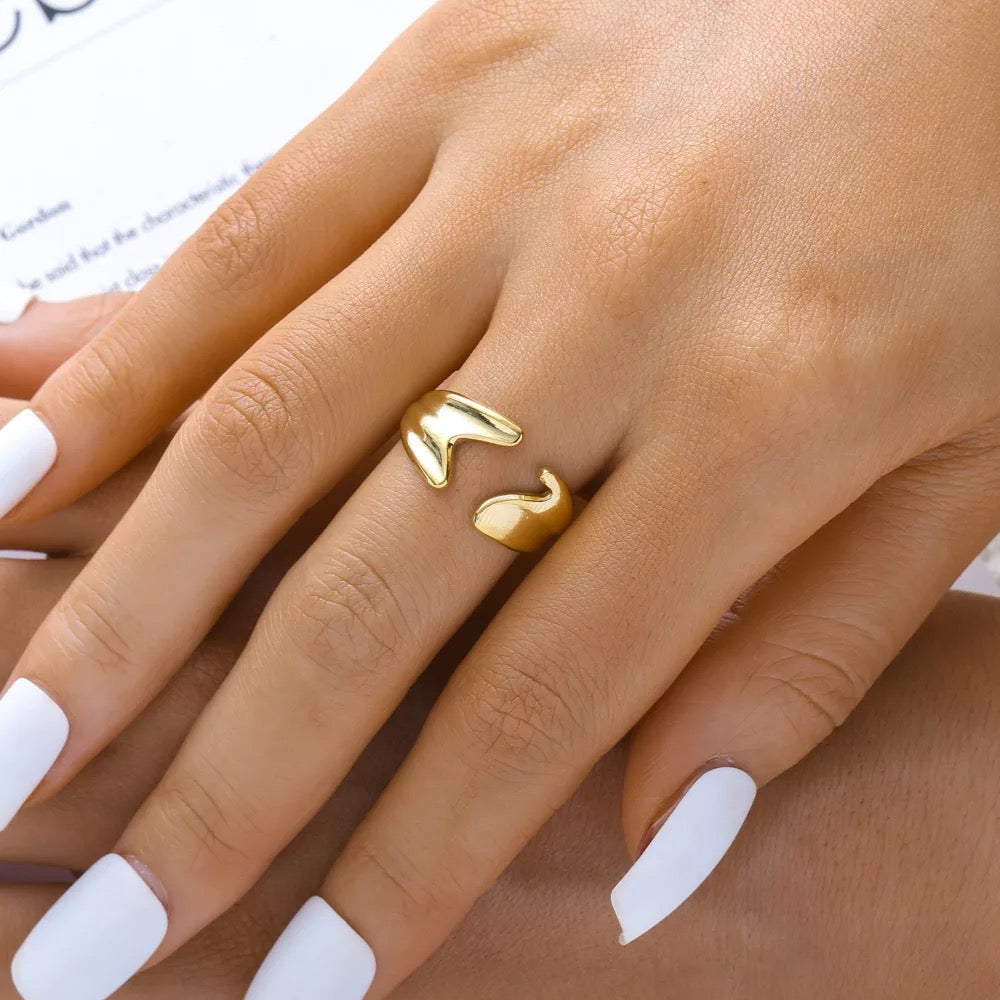 Ring Stainless steel