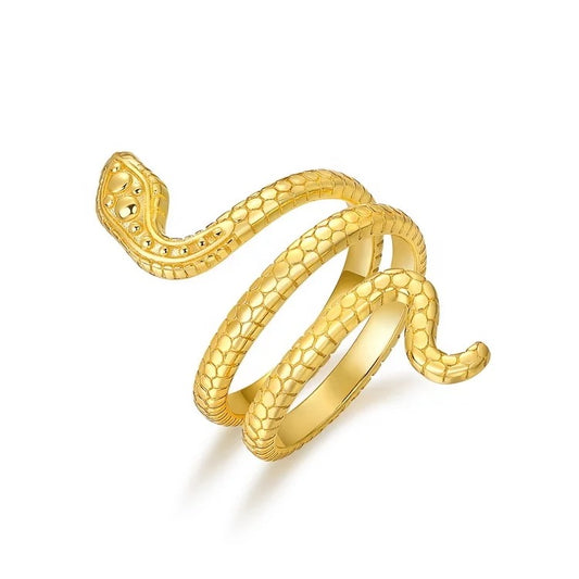 Ring Stainless steel